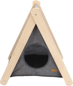 Tipi chat et petit chien Zolia Mimisiku