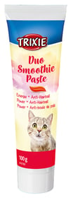 Pâte Duo Smoothie aux fruits pour chat