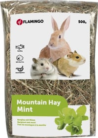 Foin de montagne à la menthe - 500g