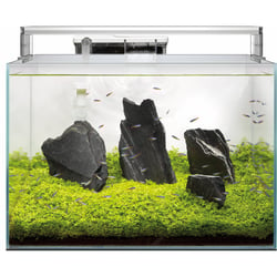 SuperFish Aquarium Scaper