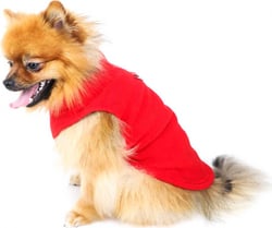 Pull polaire Zolia pour chien - plusieurs tailles disponibles