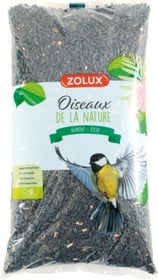 Tournesol pour oiseaux du ciel - plusieurs contenances