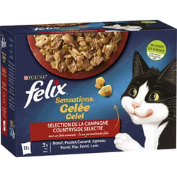 FELIX Sensations in Gelee Fleisch für ausgewachsene Katzen