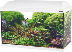 Kit aquarium ISEO LED 60cm 57L - Blanc