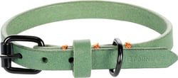 Collier Chien LEANO en cuir véritable Flamingo Vert