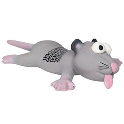 Ratte oder Maus, Latex