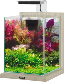 Kit aquarium décoratif Jalaya - 10L - 18,7L - 31,5L - Zébrano gris