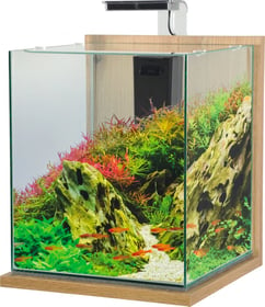 Kit aquarium décoratif Jalaya - 10L - 18,7L - 31,5L - Chêne clair