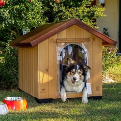 Niche pour chien PREMIUM en bois Domus