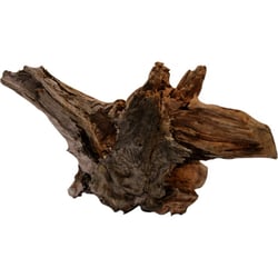 Racine naturelle DRIFTWOOD