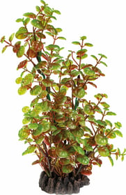 Plante artificielle Rotala - 25cm