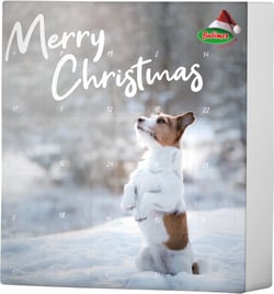 BUBIMEX Calendrier de l'Avent pour chien