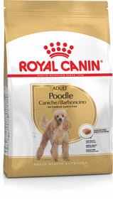 Royal Canin Breed Poodle Caniche Adult