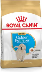 Royal Canin Breed Golden Retriever Puppy