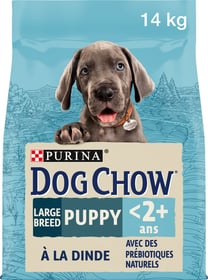 DOG CHOW Puppy Large Breed für Welpen