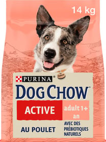 DOG CHOW Active mit Hühnchen für Hunde 