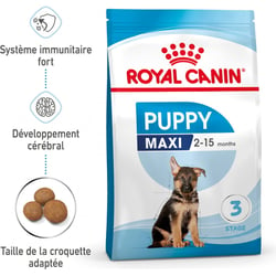 ROYAL CANIN Puppy Maxi für große Welpen von 2 bis 15 Monaten