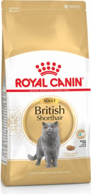 Royal Canin Breed British Shorthair Adult od 1 leta dalje