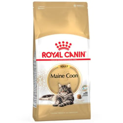 Royal Canin Maine Coon mačka od 15 mesecev