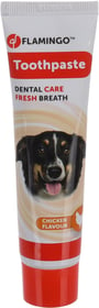 Dentifrice en tube saveur poulet pour chien