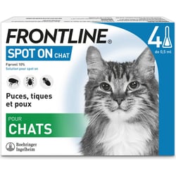 FRONTLINE Pipettes antiparasitaires pour chat Spot-On