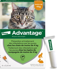 Advantage Pipettes anti-puces pour chat et lapin