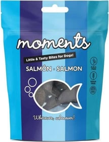 MOMENTS Salmon pour Chien