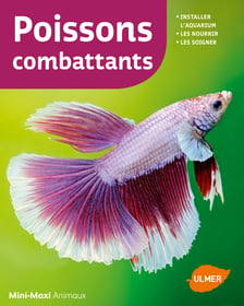 Poissons combattants - nouvelle édition