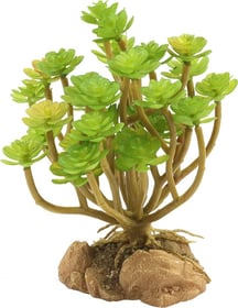 Plante artificielle pour terrarium