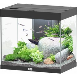 Aquatlantis Aquarium Splendid Ultra 60 RGBW