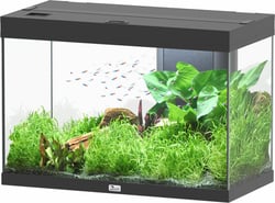 Aquatlantis Aquarium Splendid Ultra 80 RGBW