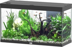 Aquatlantis Aquarium Splendid Ultra 100 RGBW