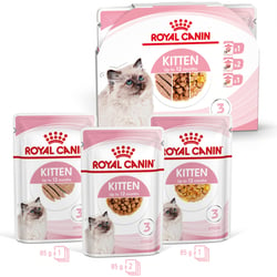 Multi Pack Royal Canin Kitten - 4x85g