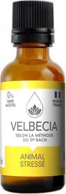 VELBECIA - Fleurs de Bach pour chien et chat stressé - 30 et 50ml