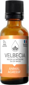 VELBECIA - Fleurs de Bach pour chien et chat - Animal agressif