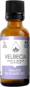 VELBECIA - Fleurs de Bach pour chien et chat malade en voiture