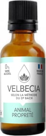 VELBECIA - Fleurs de Bach pour chien et chat - Animal propre