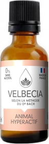 VELBECIA Fleurs de Bach pour Animal hyperactif