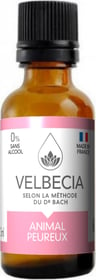 VELBECIA Fleurs de Bach pour Animal Peureux