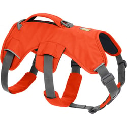 Harnais Web Master Blaze Orange de Ruffwear