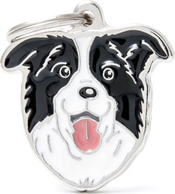 Médaille à graver Friends Border Collie