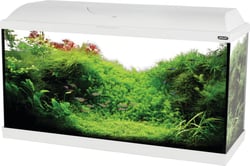 Kit aquarium ISEO LED 80cm 84L - Blanc