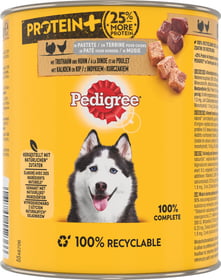 PEDIGREE PROTEIN+ Boîte en terrine à la dinde et au poulet pour chien adulte