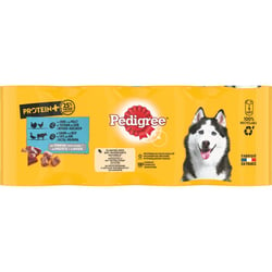 PEDIGREE PROTEIN+ Boîtes en terrine 2 variétés pour chien adulte