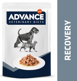 ADVANCE VETERINARY DIETS Dog&Cat Recovery pâtée pour chien et chat