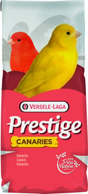 Prestige Canaris Elevage sans Navette Extra