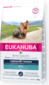 Eukanuba Breed Specific Yorkshire Terrier