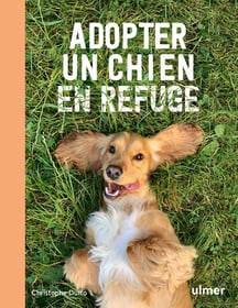 Adopter un chien en refuge