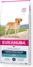 Eukanuba Breed Specific Labrador Retriever