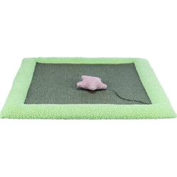 Trixie Junior tapis griffoir pour chat